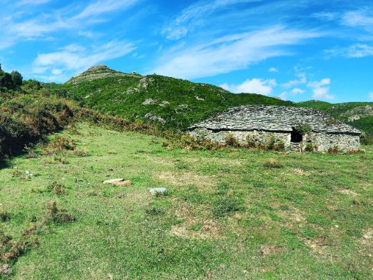 Patrimonio Village Patrimoniu Vins